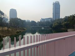 -百林公园-两江幸福广场