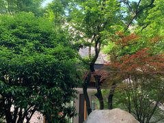 -宁海安岚·南溪阁全日餐厅