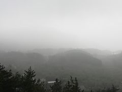-四明山国家森林公园