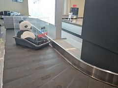 -绵阳南郊机场