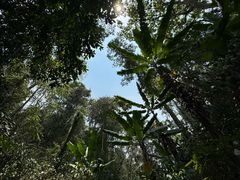 -西双版纳基诺山寨