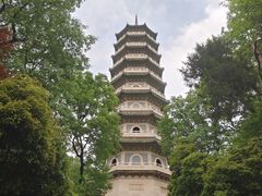-灵谷景区