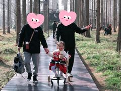 -黄海国家森林公园