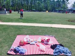 -上海长兴岛郊野公园