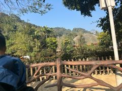 -野象谷景区