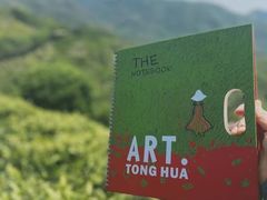 -童画国际美术教育机构(枫林晚校区)