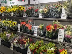 -鹿岛生活(熙地港店)