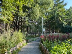 -黑龙江省森林植物园