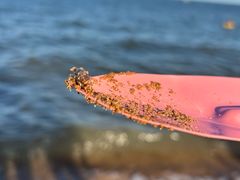 -兴城海滨风景区