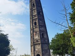 -上海佘山国家森林公园天马山园