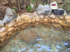 -深业半汤御泉庄温泉