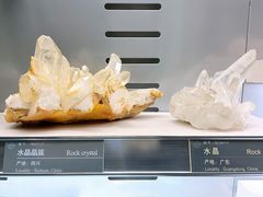 -中国地质博物馆