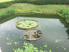 -三亚南山文化旅游区