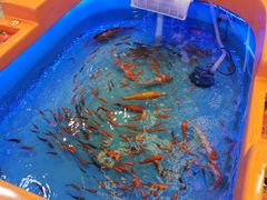 -汤姆熊欢乐世界(莘庄龙之梦店)