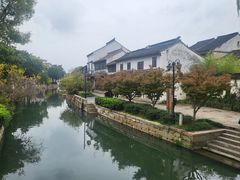 -黎里古镇
