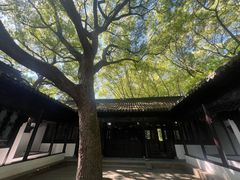-上海醉白池公园