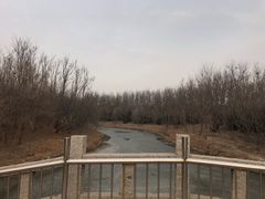 -塘沽森林公园