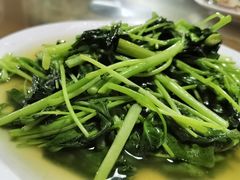 菜苗-温州一家人美食(西木头市店)