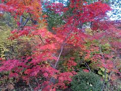 -丹东市五龙山风景区