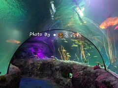 -沈阳海洋探索中心