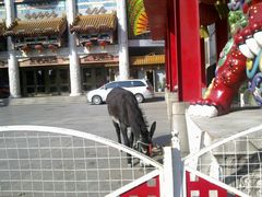 android_upload_pic-大舞台剧场