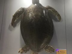 -福州罗源湾海洋世界旅游区