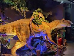 -恐龙探索乐园(磁器口店)