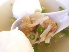-登兴鱼丸