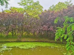 -妈妈的小作坊(陈家镇店)