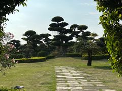 -南宁南湖公园