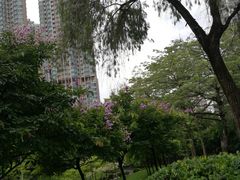-屯门公园