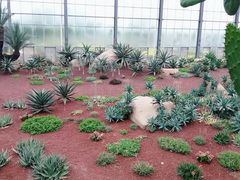 -南通洲际绿博园