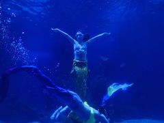 -石家庄海洋公园