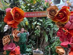-正佳雨林生态植物园
