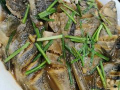 -天隆酒店·本地海鲜鲁菜(烟台大学店)