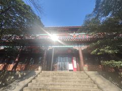 -灵谷景区