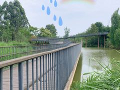 -白鹭湾湿地公园