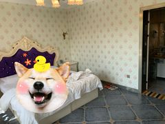 -御林汤泉