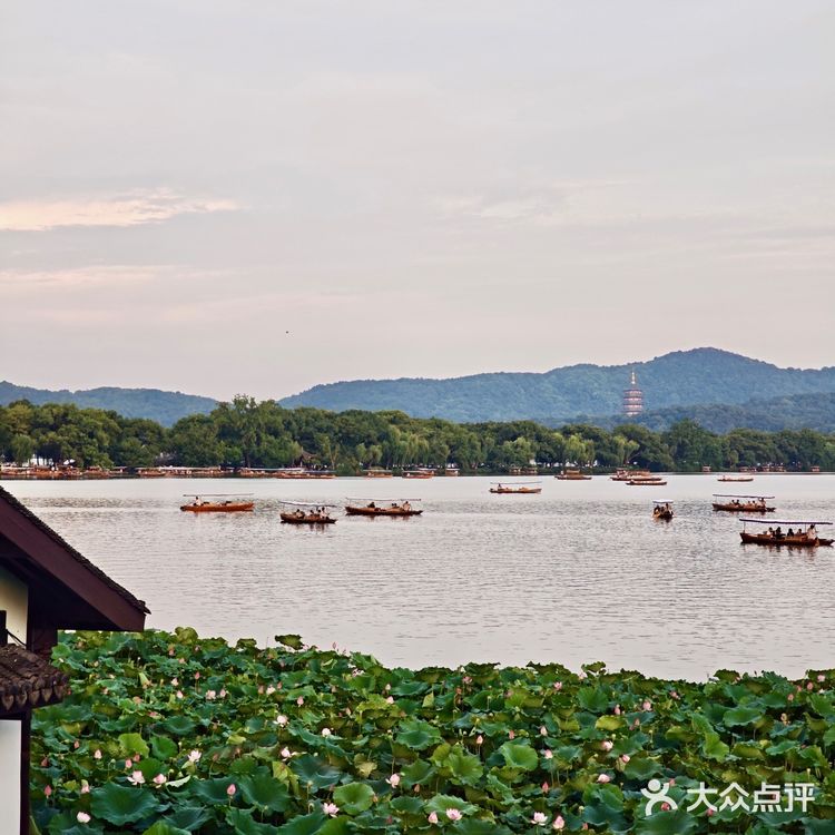 夏日赏荷限定，杭州人私藏20年的秘境餐厅‼️