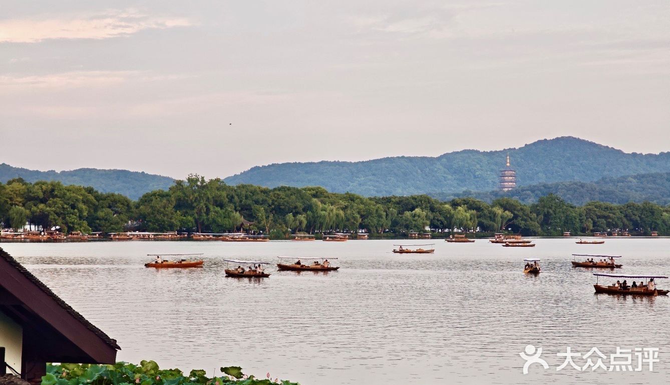 夏日赏荷限定，杭州人私藏20年的秘境餐厅‼️