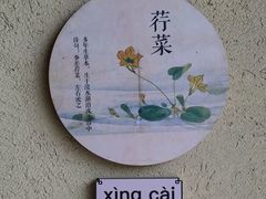 -诗经里
