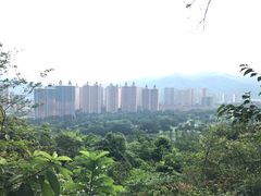 -罗三妹山