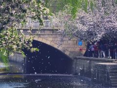 -海棠花溪(元大都城垣遗址公园)