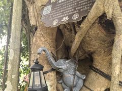 -海南热带野生动植物园