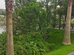 -枫香湖儿童公园