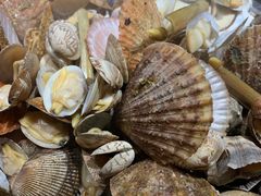 -77号渔船·蒸海鲜青岛菜(积米崖店)