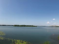 -丁香湖公园