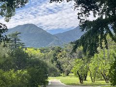 -国家植物园南园