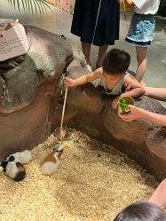 -造物庄园 萌宠纪(苏州湾歌林公园店)
