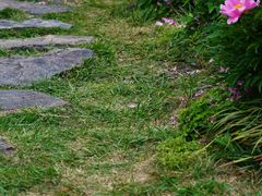 -扬州大运河文化旅游度假区·盆景园